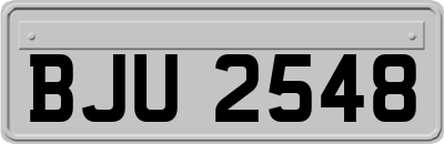 BJU2548