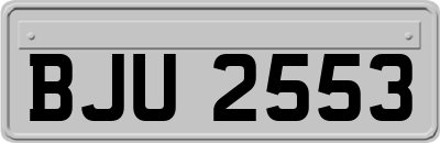 BJU2553