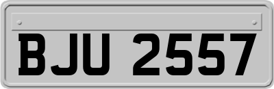 BJU2557