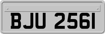 BJU2561