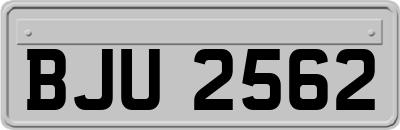 BJU2562