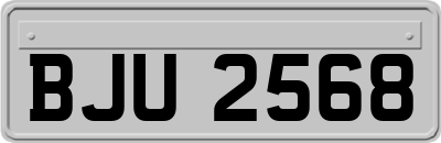 BJU2568