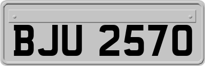 BJU2570