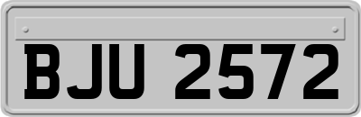 BJU2572