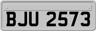 BJU2573