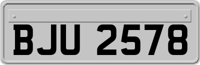 BJU2578