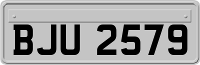 BJU2579