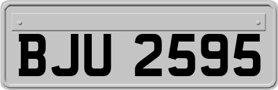 BJU2595