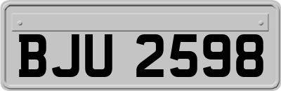 BJU2598