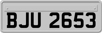 BJU2653