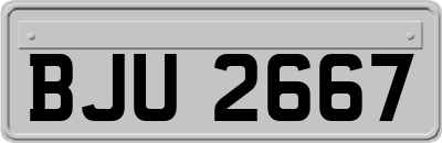 BJU2667