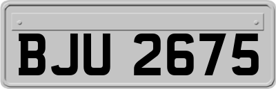 BJU2675