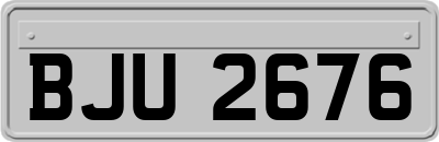 BJU2676