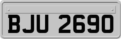 BJU2690