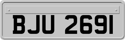 BJU2691