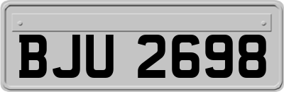 BJU2698