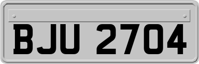 BJU2704