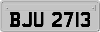 BJU2713