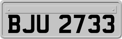 BJU2733