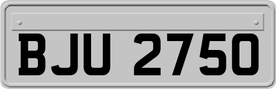 BJU2750
