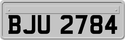 BJU2784