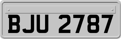BJU2787