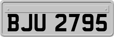 BJU2795