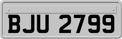 BJU2799