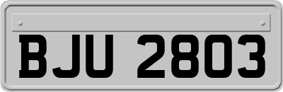 BJU2803