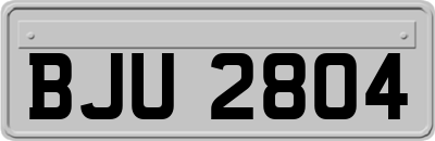 BJU2804