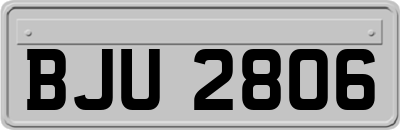 BJU2806