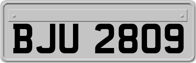 BJU2809