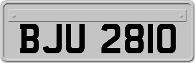 BJU2810