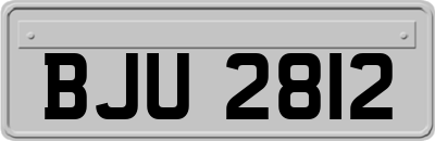BJU2812