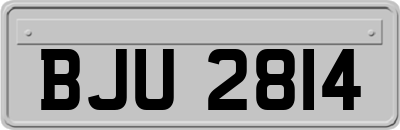 BJU2814