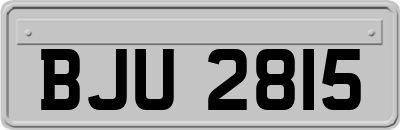 BJU2815