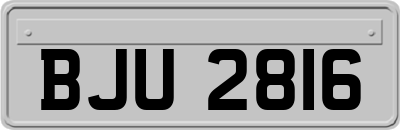 BJU2816