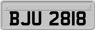 BJU2818