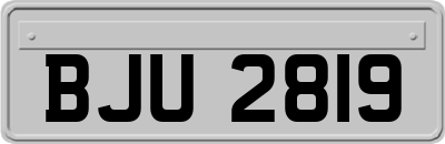 BJU2819