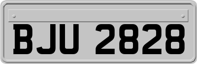 BJU2828
