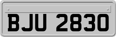 BJU2830