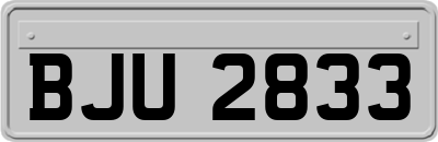 BJU2833