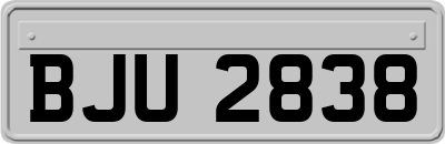 BJU2838