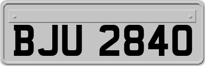 BJU2840