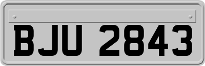 BJU2843