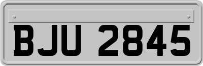 BJU2845