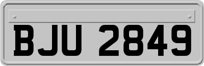 BJU2849