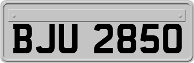 BJU2850