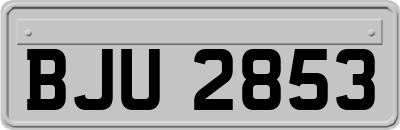 BJU2853
