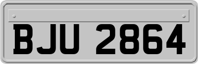 BJU2864